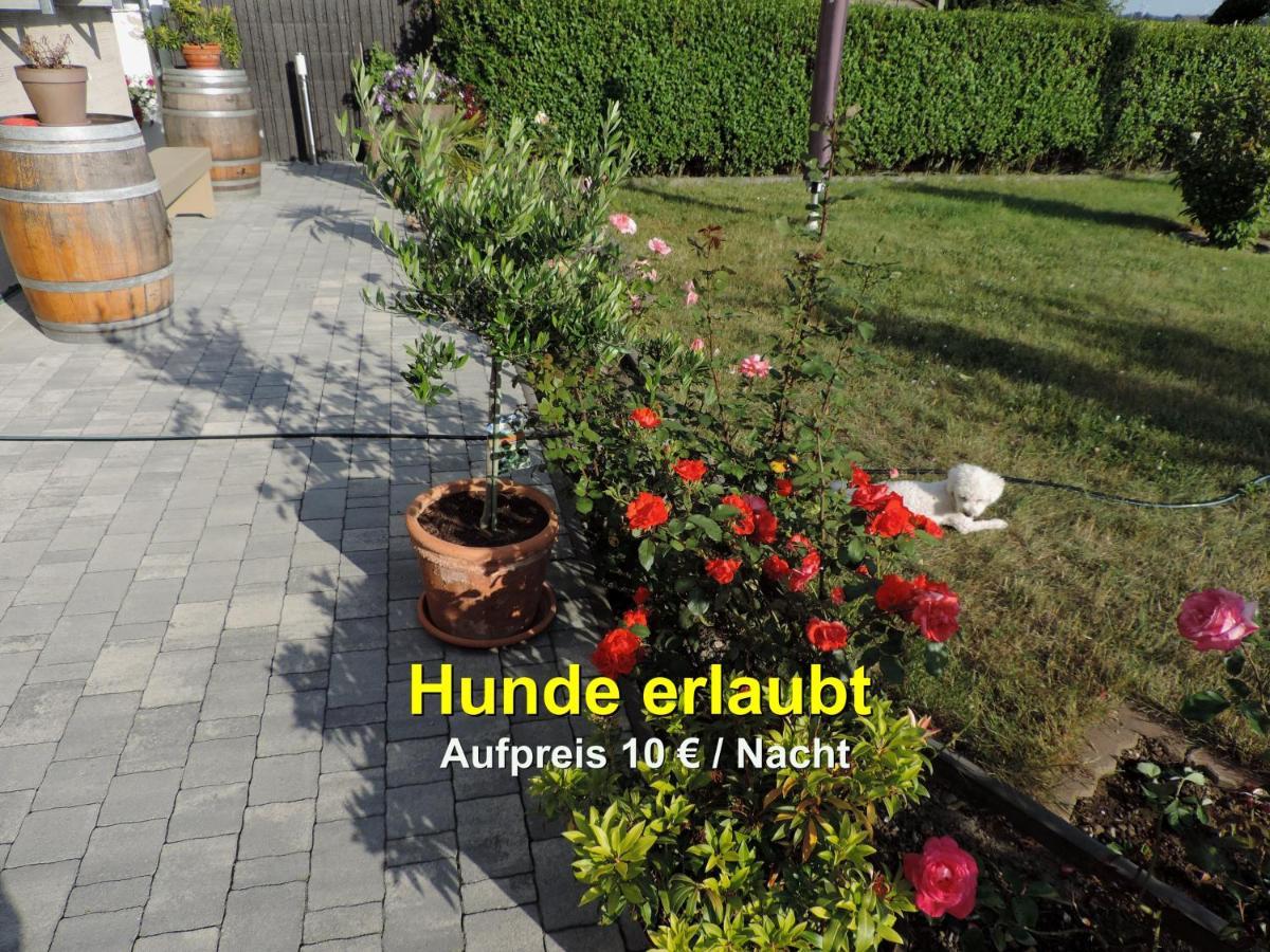 Die Ferienwohnung - Wittenberg An Den Elbwiesen Exteriör bild
