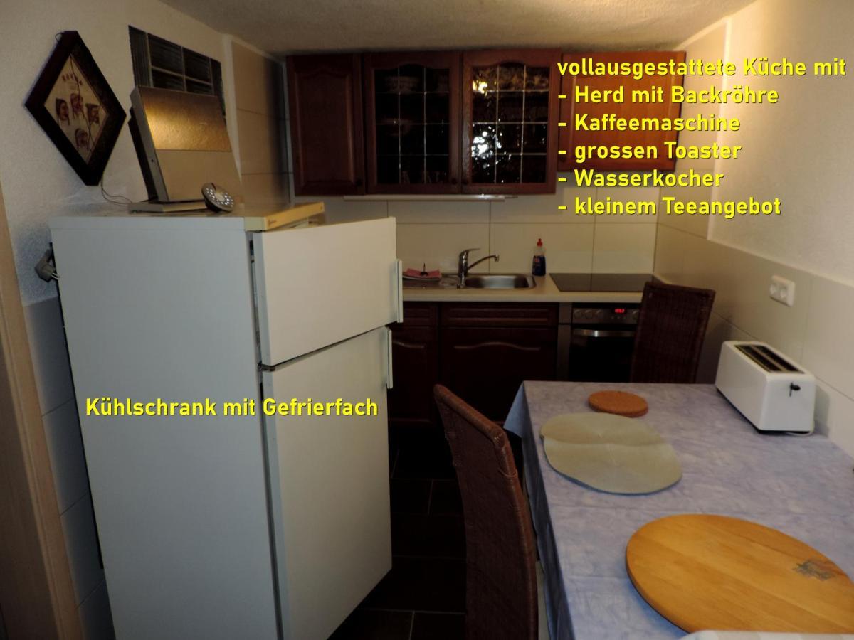Die Ferienwohnung - Wittenberg An Den Elbwiesen Exteriör bild
