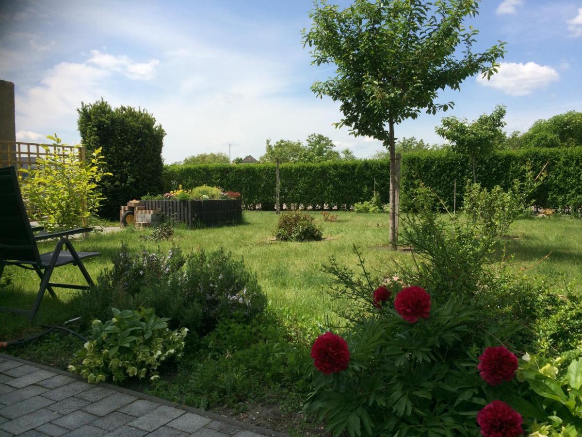 Die Ferienwohnung - Wittenberg An Den Elbwiesen Exteriör bild