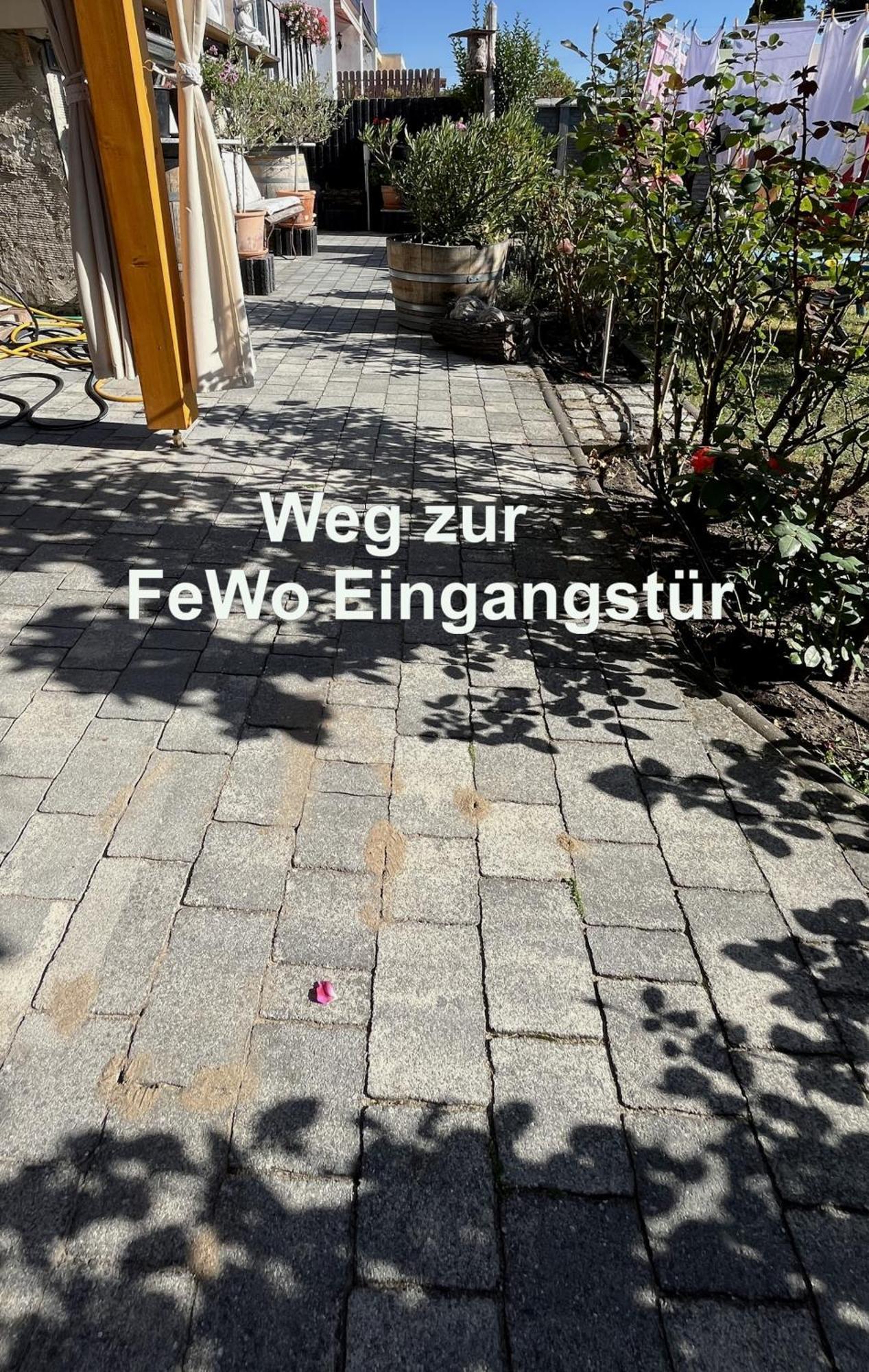 Die Ferienwohnung - Wittenberg An Den Elbwiesen Exteriör bild